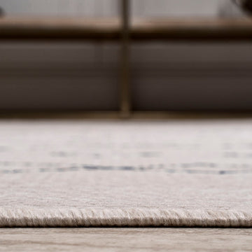 Boho Moroccan Indoor/outdoor Area Rug